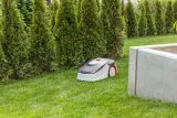 robot-koszacy-al-ko-robolinho-300-e-20-cm-seria-easy