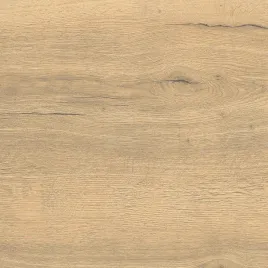 gres-drewnopodobny-forest-brown-ylm-60x60x8-gat-i