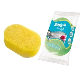 york-gabka-masazowa-dla-niej-owalna