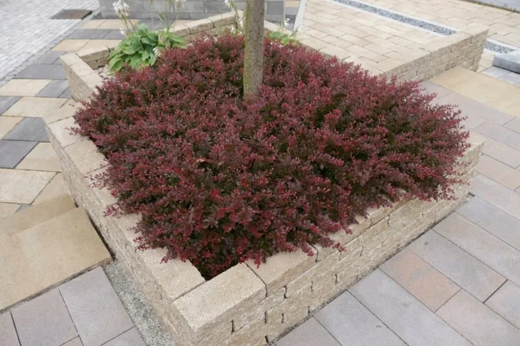 kostka-cegla-libet-split-grubosc-65cm-bianco-grubosc-kostki-plyty-7-cm