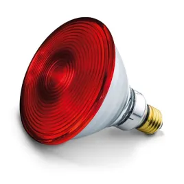 zarowka-do-lampy-na-podczerwien-beurer-il-21-il-35-sil-16-sil-29-150w