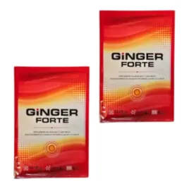2xginger-forte-plaster-rozgrzewajacy-odzywiajacy-duzy-rozmiar-12x18-cm