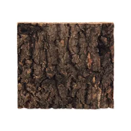 tlo-z-naturalnego-korka-20x20-cm-repti-planet