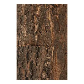 tlo-z-naturalnego-korka-45x60-cm-repti-planet