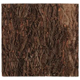 tlo-z-naturalnego-korka-60x60-cm-repti-planet