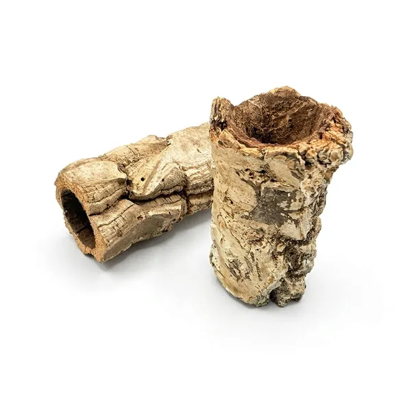 tuba-brazylijska-5-10cm-stan-nowy
