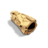 tuba-brazylijska-5-10cm-kod-producenta-gs-tuba-brazylijska-5-10cm