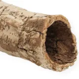 tuba-brazylijska-5-10cm-stan-nowy-kod-producenta-gs-tuba-brazylijska-5-10cm