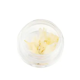 suszone-kwiatki-kwiatuszki-do-zdobien-paznokci