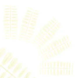 profico-tipsy-paznokcie-ballerina-natural-120szt