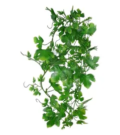 winorosl-200-cm-lucky-reptile
