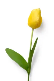 tulipan-galazka-do-wazonu-kompozycji-sztuczna-65cm