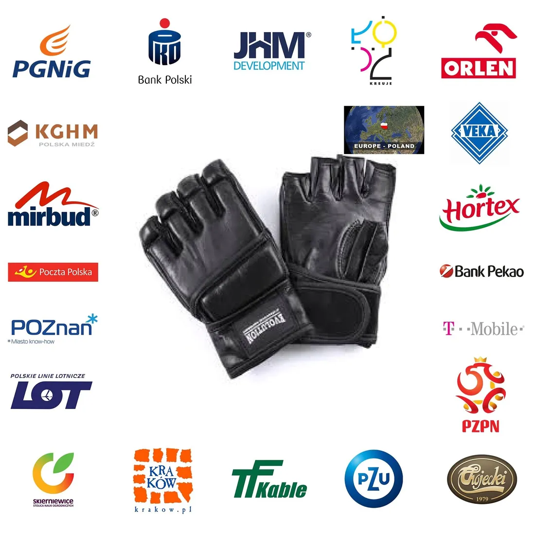 rekawice-evolution-mma