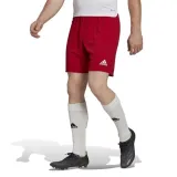 spodenki-adidas-entrada-22-cechy-dodatkowe-brak