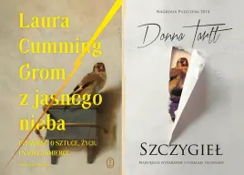 pakiet-2x-grom-z-jasnego-nieba-szczygiel-laura-cumming-donna-tartt