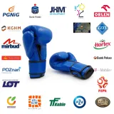 rekawice-bokserskie-evolution-pro-skorzane-stan-nowy