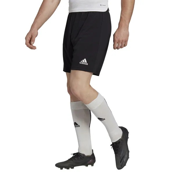 spodenki-adidas-entrada-22-xl-rozmiar-xl