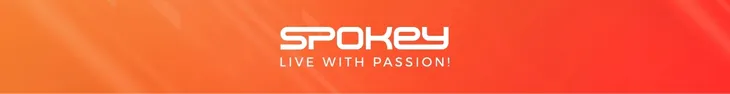 zestaw-do-ping-ponga-spokey-standard-marka-spokey-model-81813