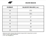 klapki-4f-m-zielone-kolor-wielokolorowy
