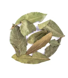 lisc-laurowy-planteon-50-g