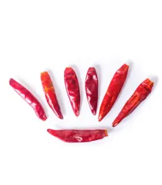 planteon-papryka-chilli-strak-chaotian-50g