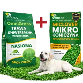 mikrokoniczyna-drobnolistna-trawa-uniwersalna-wieloletnia-nasiona-400m2