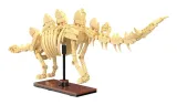 jamara-cada-stegosaurus-bricks