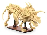 jamara-cada-triceratops-bricks
