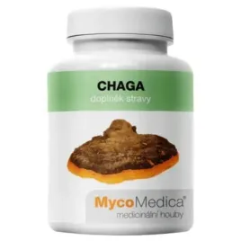 chaga-500-mg-blyskoporek-podkorowy-ekstrakt-z-grzyba-polisacharydy-90k