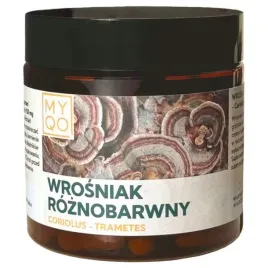 wrosniak-roznobarwny-myqo-coriolus-polisacharydy-500-mg-90-kapsulek