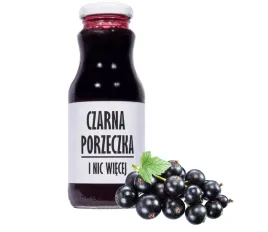 sadvit-sok-z-czarnej-porzeczki-czarna-porzeczka-i-nic-wiecej-100percent-250-ml
