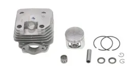 cylinder-nac-43mm-cs4500