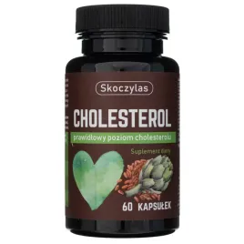 cholesterol-kozieradka-karczoch-chrom-wyciag-60kap