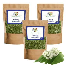 czosnek-niedzwiedzi-suszony-naturalny-przyprawa-zdrovita-3x15g