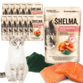 mokra-karma-dla-kota-bezzbozowa-losos-spirulina-premium-shelma-12x85g