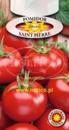 roltico-pomidor-saint-pierre-05g