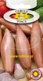 roltico-cebula-tosca-2g