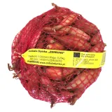 cebula-dymka-szalotka-zerbune-025-kg
