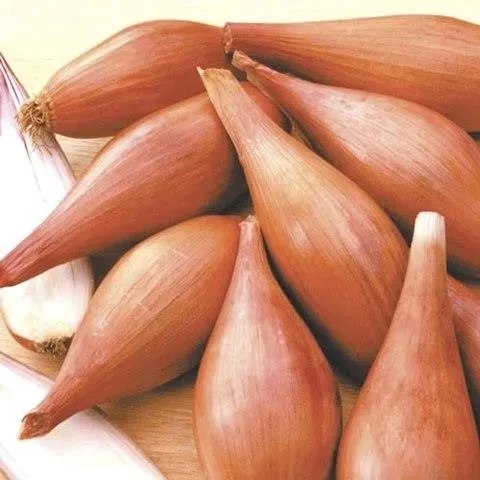 cebula-dymka-szalotka-zerbune-025-kg