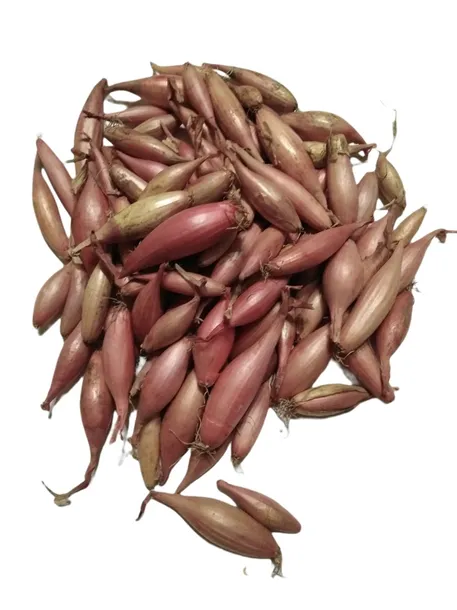cebula-dymka-szalotka-zerbune-025-kg-waga-0-25-kg