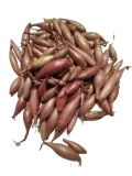 cebula-dymka-szalotka-zerbune-025-kg-waga-0-25-kg