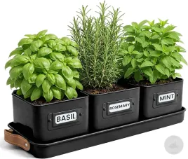 doniczki-na-ziola-rosliny-bazylie-zestaw-3x-podstawka-stalowe-na-parapet