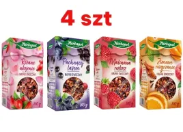 herbapol-napar-owocowy-herbata-owocowa-sypana-100g-swieta-malina-prezent