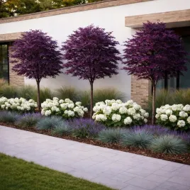 klon-palmowy-sumi-nagashi-forma-na-pniu-90-120-seria-ograniczona