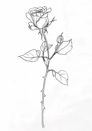 plakat-21x297cm-kontur-rozy