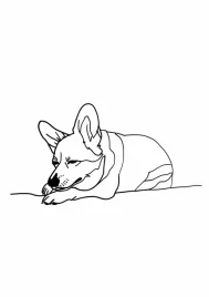 plakat-21x297cm-spiacy-corgacz