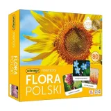 flora-polski-memory-adamigo
