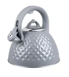 czajnik-promis-tmc14g