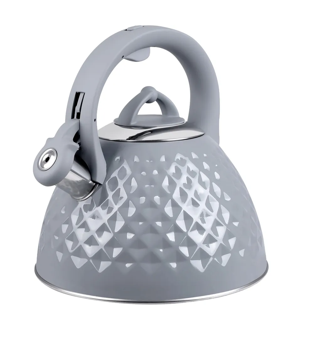 czajnik-promis-tmc14g