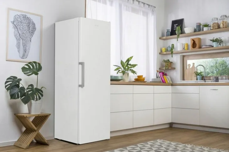 chlodziarka-gorenje-r619eew5-liczba-termostatow-1